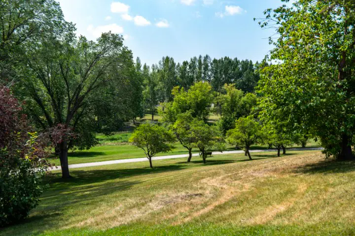 A residential street in Rosemont